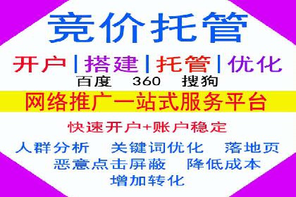 不同平台的SEM广告投放比较及成功案例分析